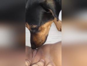 Bestial and intense encounter with a dog