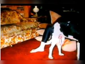 madre e hija webcam con perro
