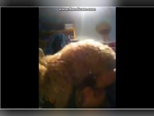 Bestiality: A Forbidden Encounter