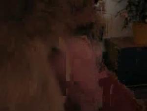 Horse Fuck - Dirty Whore Exposed