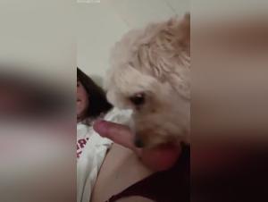 shemale pounded by dog, raw desire