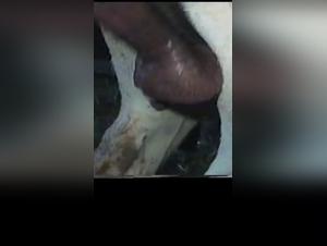 Forbidden Meeting: Woman and Horse