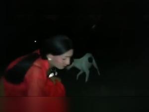 Bestiality sex videos with tranny prostitute