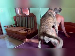 Knot: A Tale of Exciting Bestiality