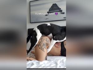 Unveiling Animalxxx Encounters