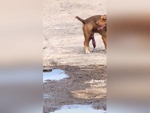 intense forbidden encounter