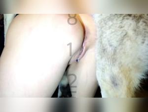 Discover Your Desire with Muvisex