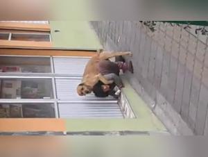 Woman and dog: a beastly encounter in the street