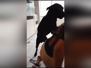 brazilian babe amateur baise chien sans répit