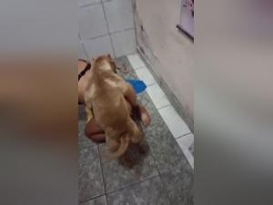 Bestial and intense encounter with a dog