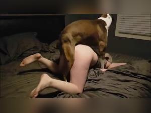 Submissive woman in private bestiality video