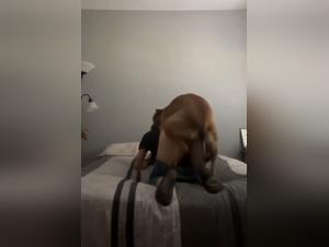 un primal desire: my dog's 7 inch cock inside