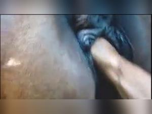 xxxanimal beastiality