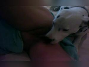 Milly con su Perro: Webcam Zoofilia Parte 3 (XXX)