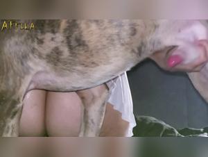 Chubby woman and her dog: a zoophilia video not to be missed