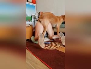 dog knot erupts pussy
