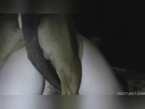 Masked Whore Dogged in the Night