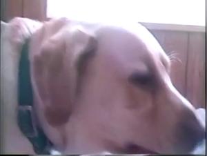 Reife Frau und ihr Hund: ein aufregendes Bestialitats-Sexvideo