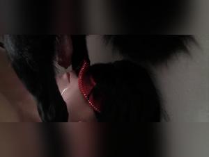 Summer gets fucked by her dog.