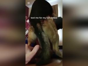 Dog Fuck Frenzy