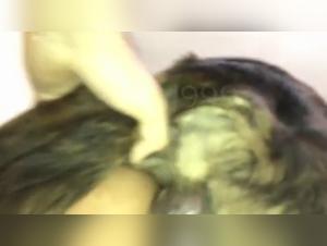 Woman and dog: a beastly encounter