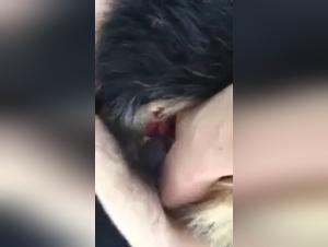 Bestiality with a Dog