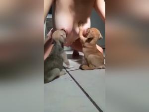tierischer bezug beim stillen, porno extreme