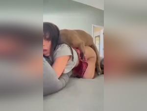animal sex frenzy, knotted depravity, raw pleasure