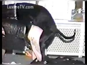 zooskool best sound video 3