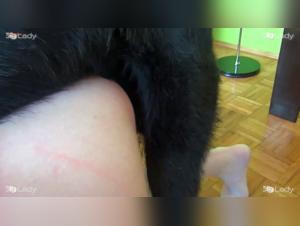 Extreme bestiality: a young girl and her dog