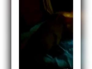 Jillian LeAnn Quist Jones in shocking zoophilia video