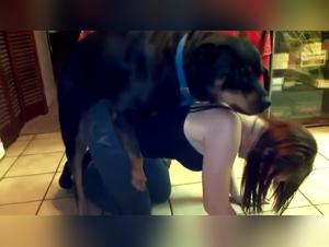 Forbidden Meeting: Woman and Dog