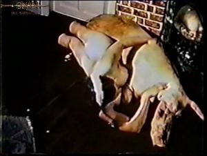 Hund vergewaltigt ein Mädchen