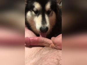 Bestial encounter: woman and dog