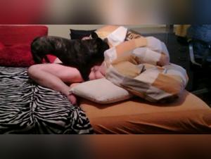 Video of Sex with a Dog
