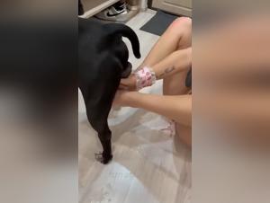 Tickzoo.tv - Sonya:  Dominación animal salvaje