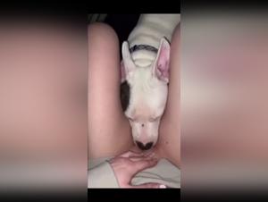 liltimy and beast tube