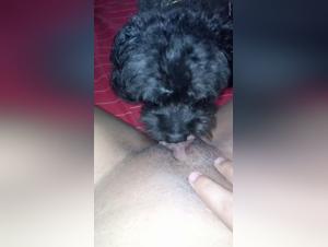 Forbidden Love: Man and His Dog