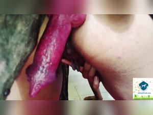 Furious Encounter with a Dog: A Bestial Experience