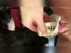Perra Succiona a su Perro - XXXTremo