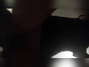 dog fuckers compilation