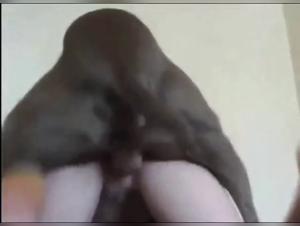 Good Canine Fucks: Zoo Sex