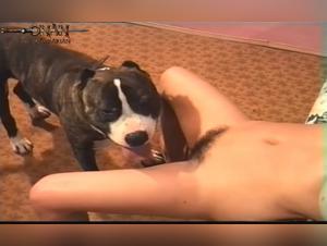 Milf Submissive to a Dog: An Extreme Zoophilia Video