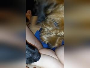 milla feeds her dogs wild pleasures, x videos