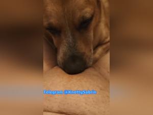 Dog licking, woman orgasm