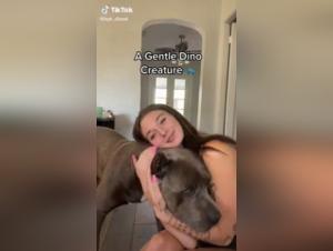 Extreme Bestiality: Zoophilia Video with a Dog