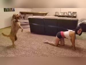 Naughty and exciting walk with a dog