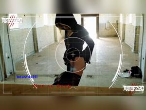 forbidden desires, feline pleasures