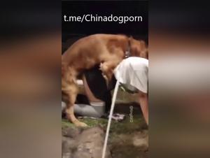 japonaise amateur baise chien fougueusement