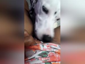 Sex Video with a Dog - Extreme Bestiality